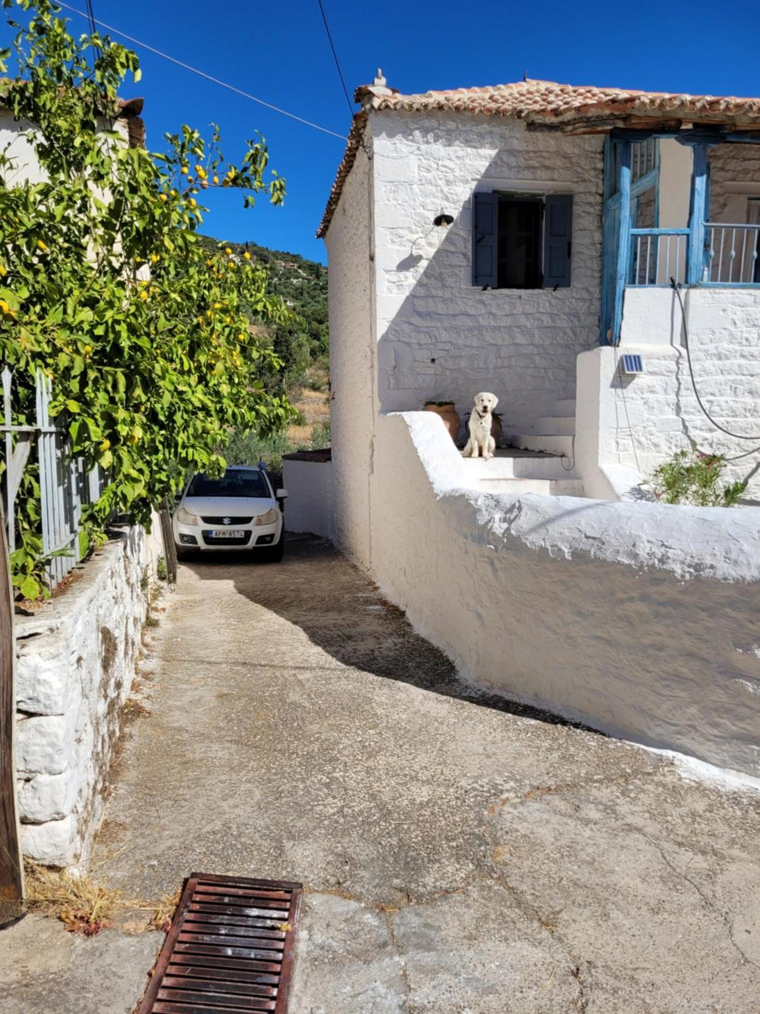 Lovely Traditionnal House With Sea View Tirós Dış mekan fotoğraf