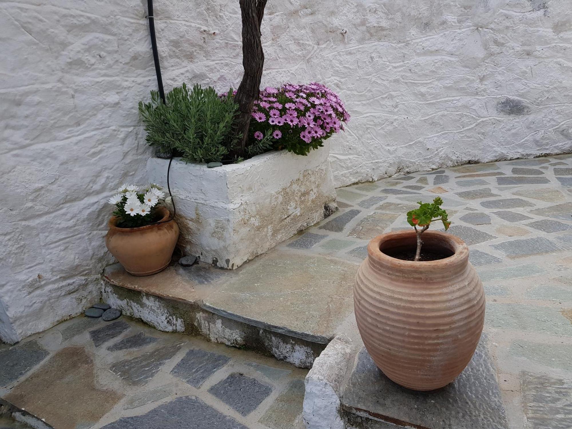Lovely Traditionnal House With Sea View Tirós Dış mekan fotoğraf