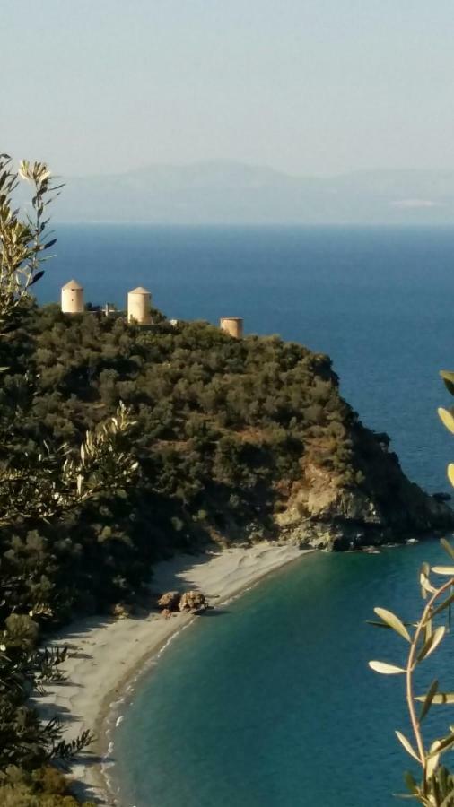 Lovely Traditionnal House With Sea View Tirós Dış mekan fotoğraf