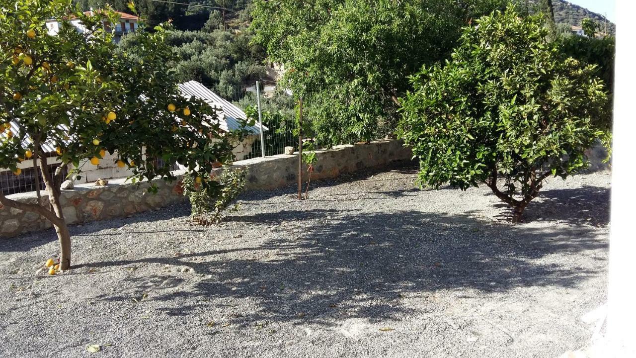 Lovely Traditionnal House With Sea View Tirós Dış mekan fotoğraf